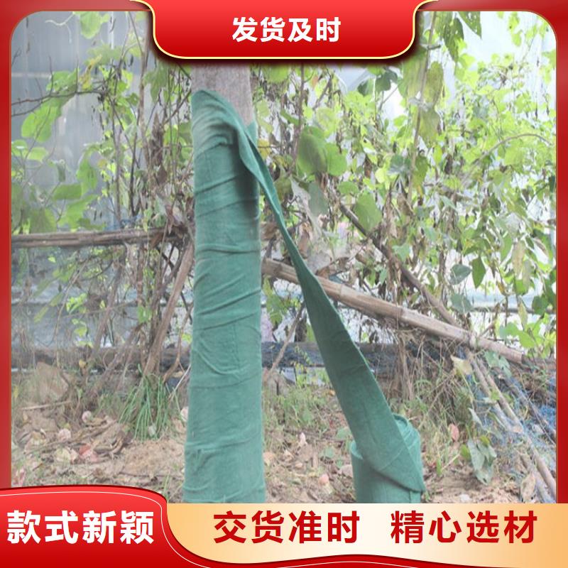 裹树布【聚酯布】畅销本地专业生产品质保证
