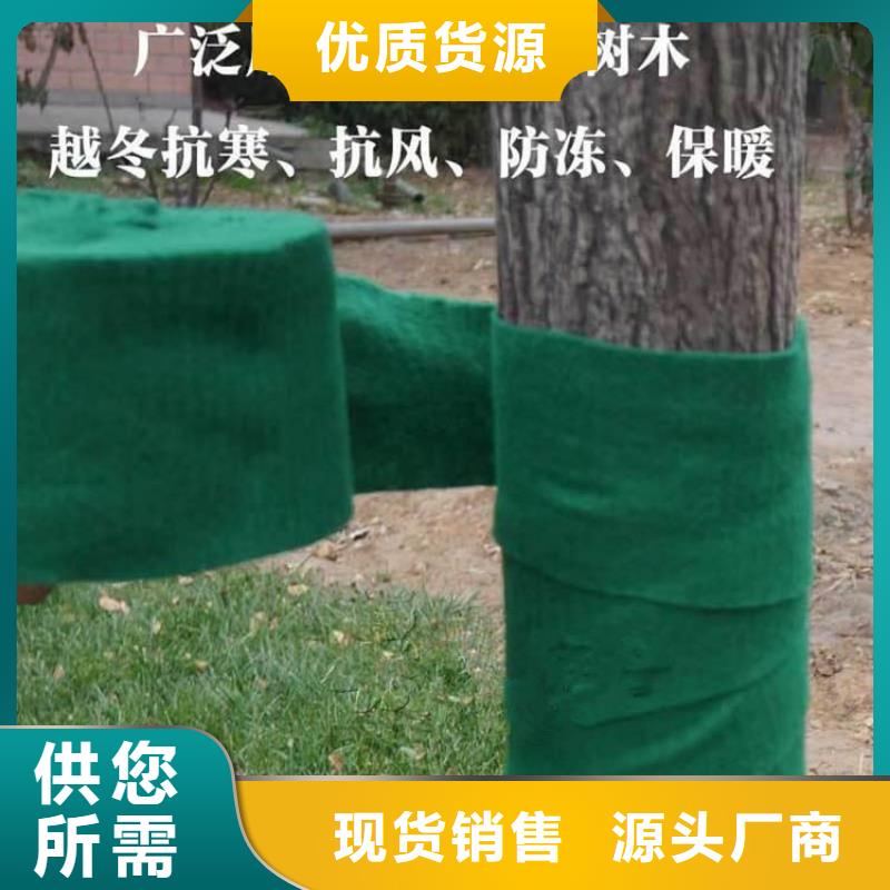【裹树布】双向土工格栅免费回电当地公司