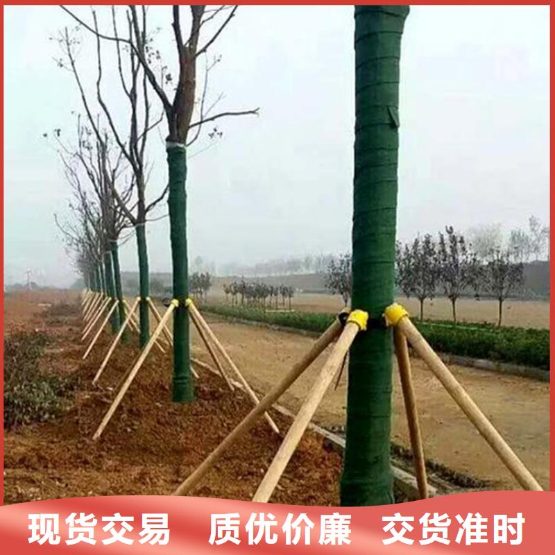 裹树布【防渗膜】货源足质量好本地生产厂家