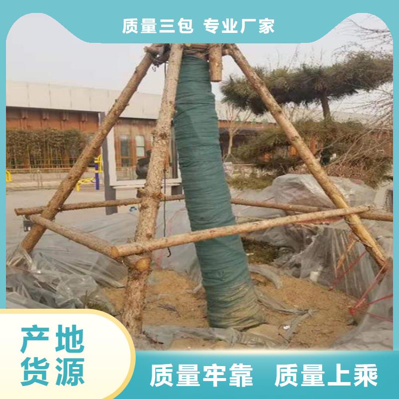 裹树布_抗裂贴用途广泛客户满意度高
