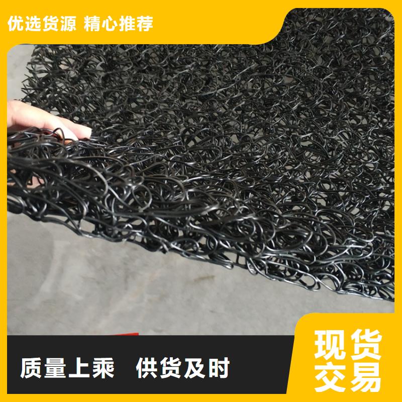 土工席垫,防渗膜工厂现货供应本地生产商
