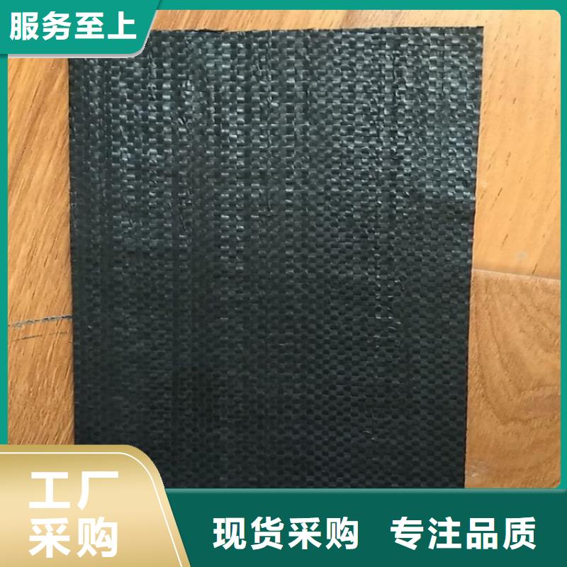 防裂贴-土工膜厂家工艺先进采购无忧