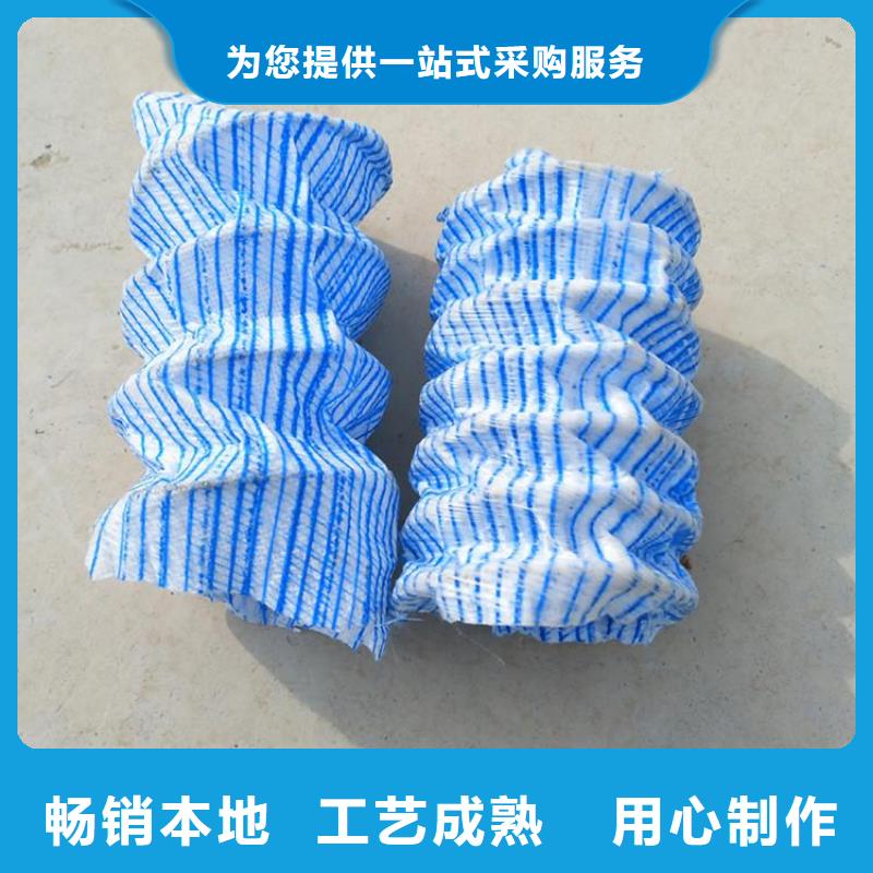 软式透水管土工格栅优选原材N年专注