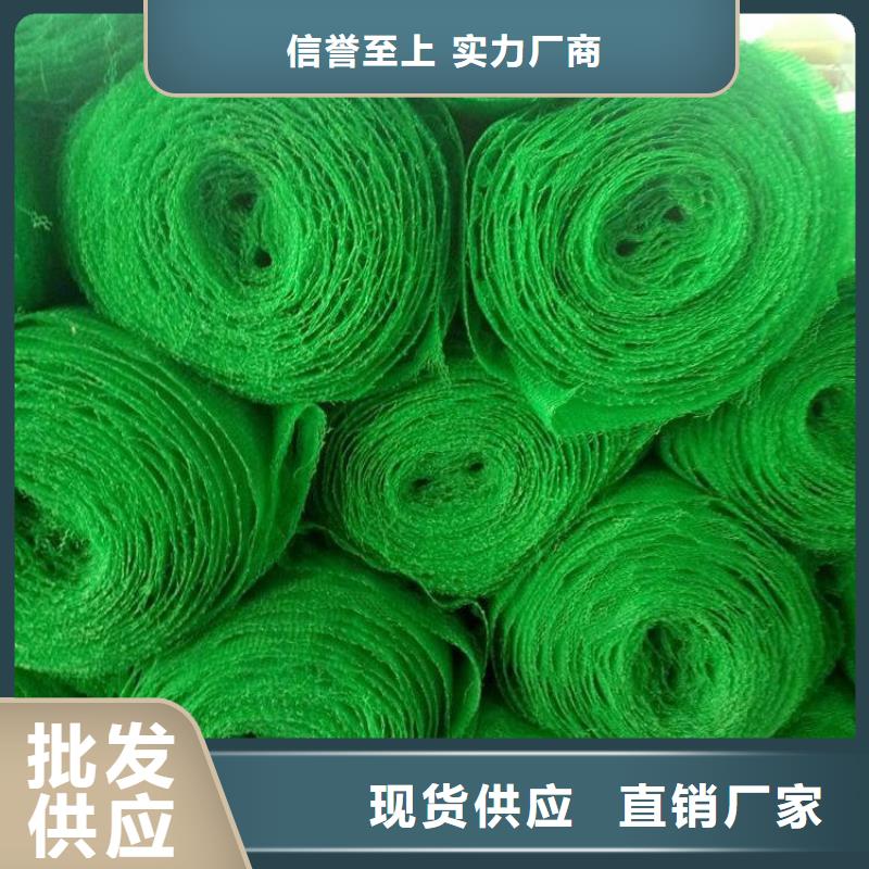 /FJ1337595.html