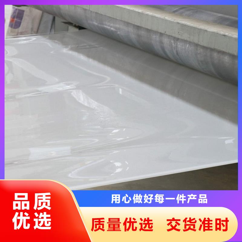 【防水板】塑料土工格栅厂家质量过硬应用领域