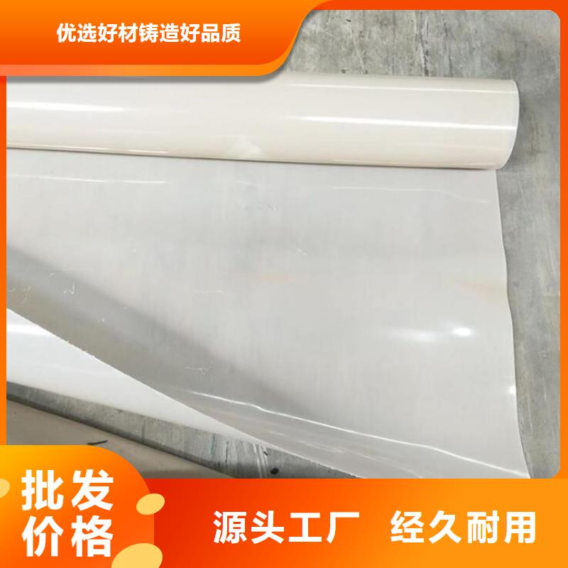 防水板双向土工格栅匠心品质规格齐全