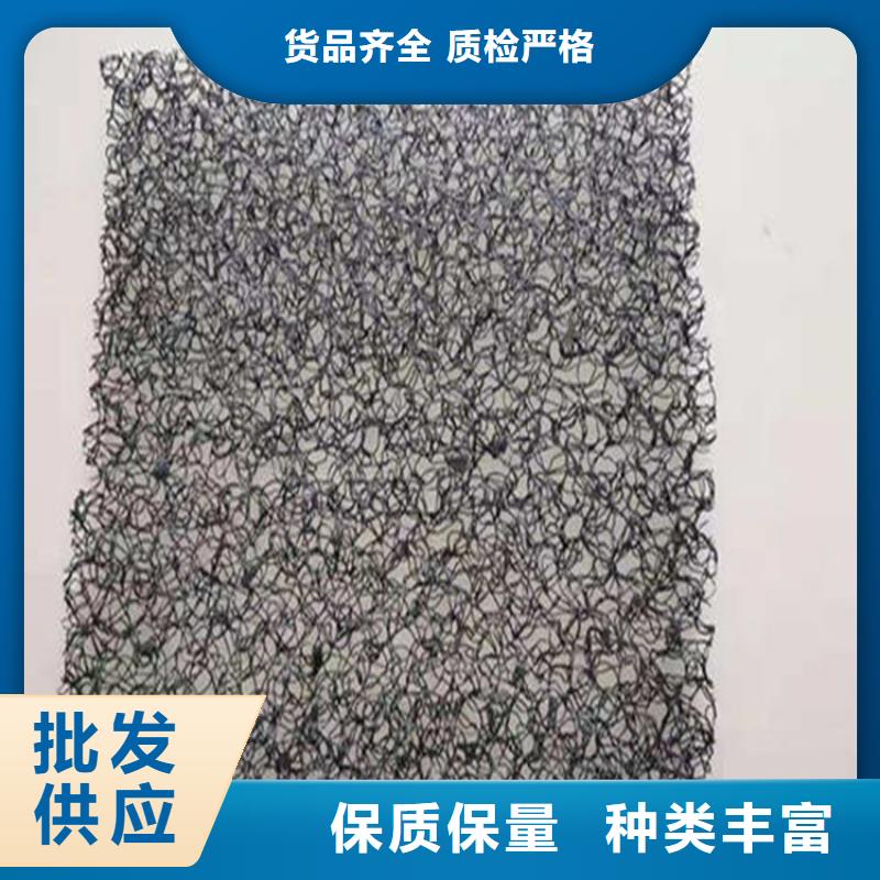 水土保护毯-土工格栅海量货源专业设计