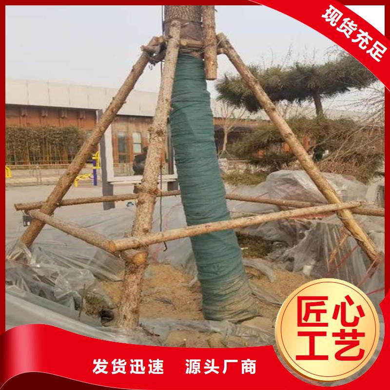 裹树布_土工膜实力派厂家同城制造商
