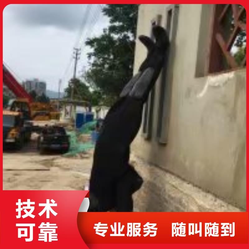 污水管道水下封堵公司-解决各种难题本地制造商
