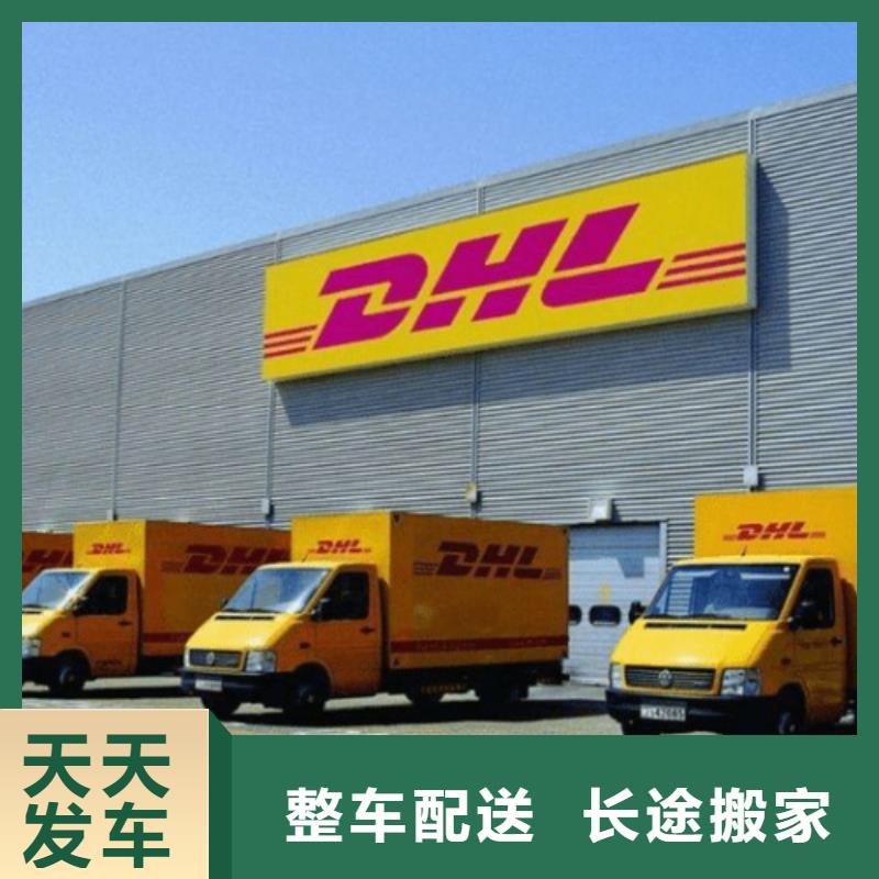 台湾DHL快递【DHL国际快递】冷链物流