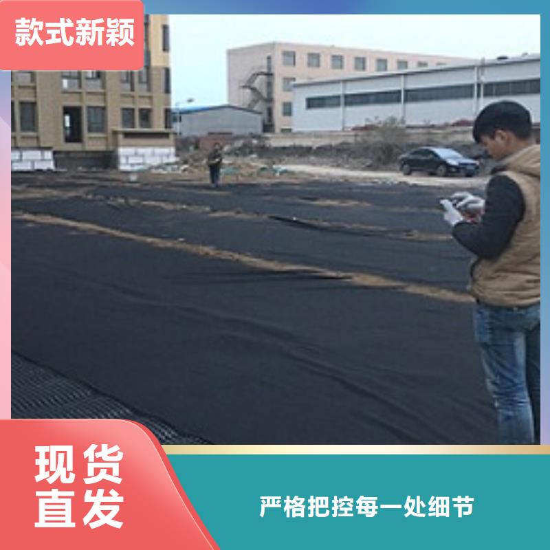 排水板土工格栅应用领域当地经销商