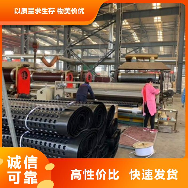 排水板三维植被网真材实料加工定制来图定制量大从优