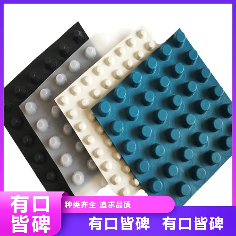 排水板-滤水板交货准时精品选购