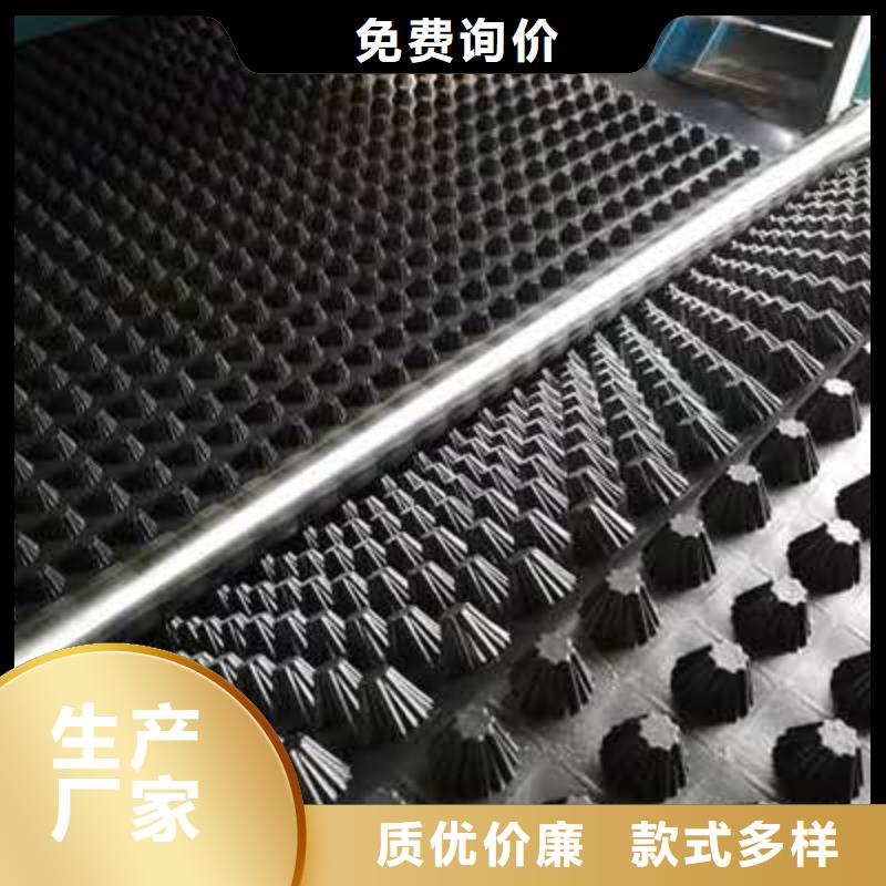 排水板滤水板丰富的行业经验真正的源头厂家