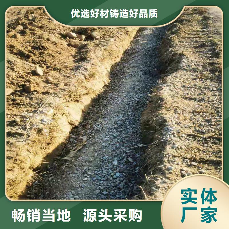 【排水盲管】_单壁打孔波纹管价格低当地厂家