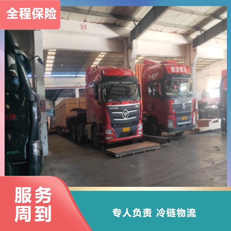 哈尔滨运输_上海到哈尔滨冷藏货运专线专人负责
