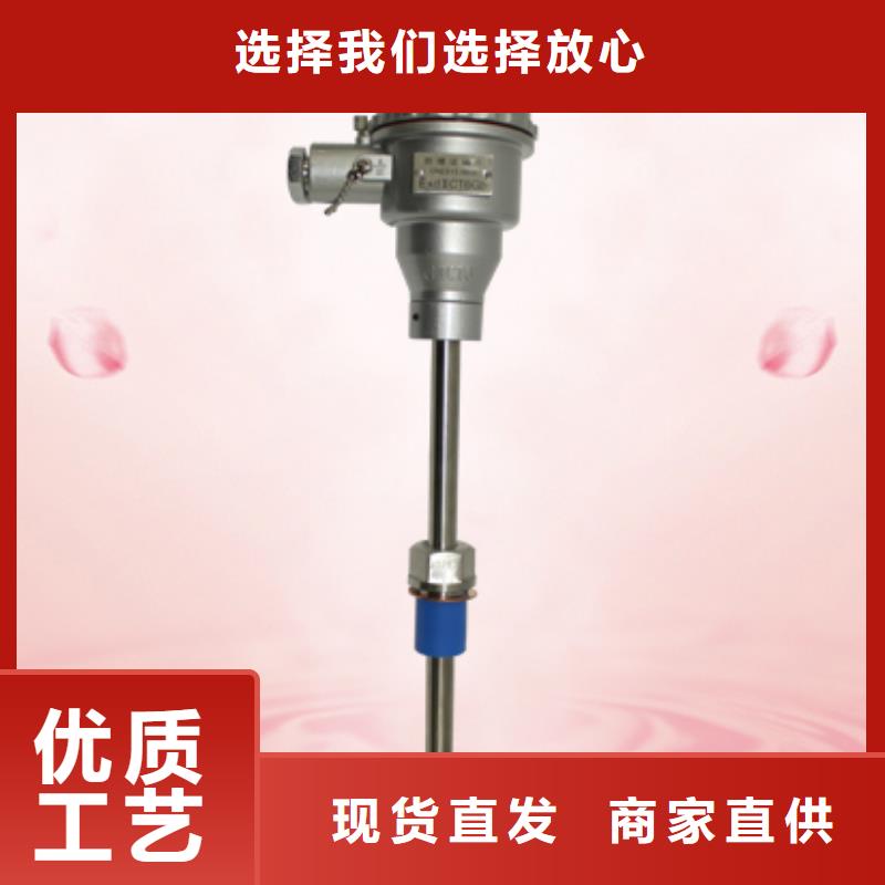 XH-VSG-2EX厂家-做工精细供应采购