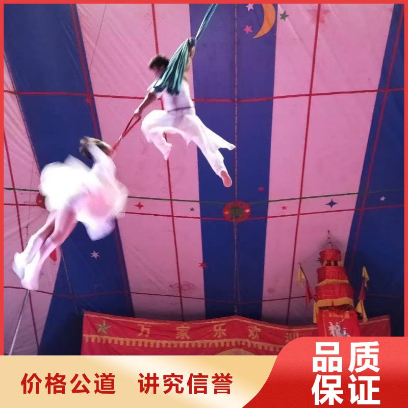 马戏团/羊驼,杂技表演高性价比先进的技术