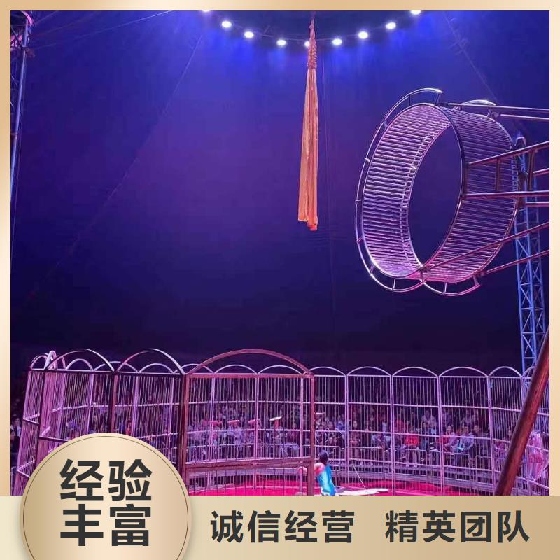 马戏团/羊驼水族海洋展省钱省时实力公司