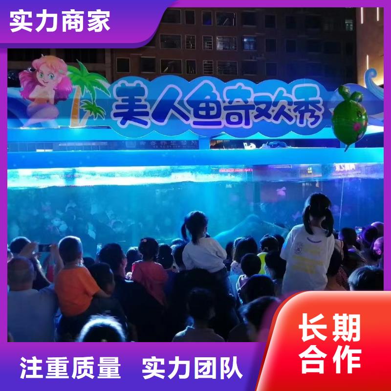 海洋主题动物表演_海狮表演出租欢迎合作欢迎询价