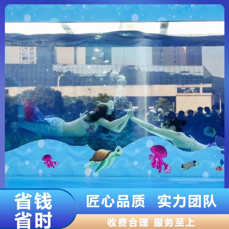 海洋主题动物表演羊驼出租价格美丽专业承接