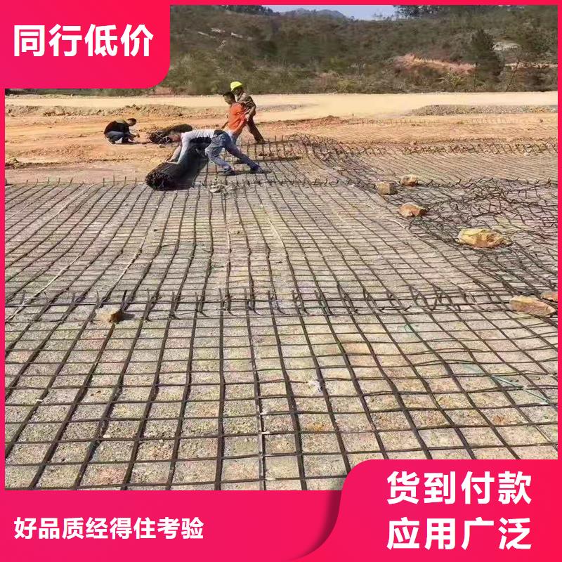 钢塑土工格栅型号齐全当地生产商