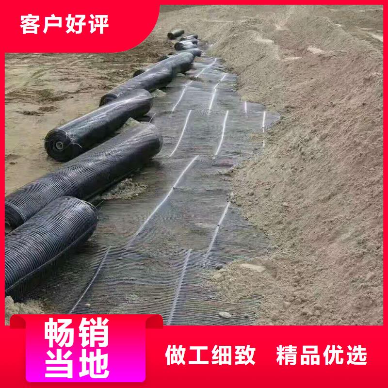 土工格栅\抗裂贴三维植被网自有生产工厂当地制造商