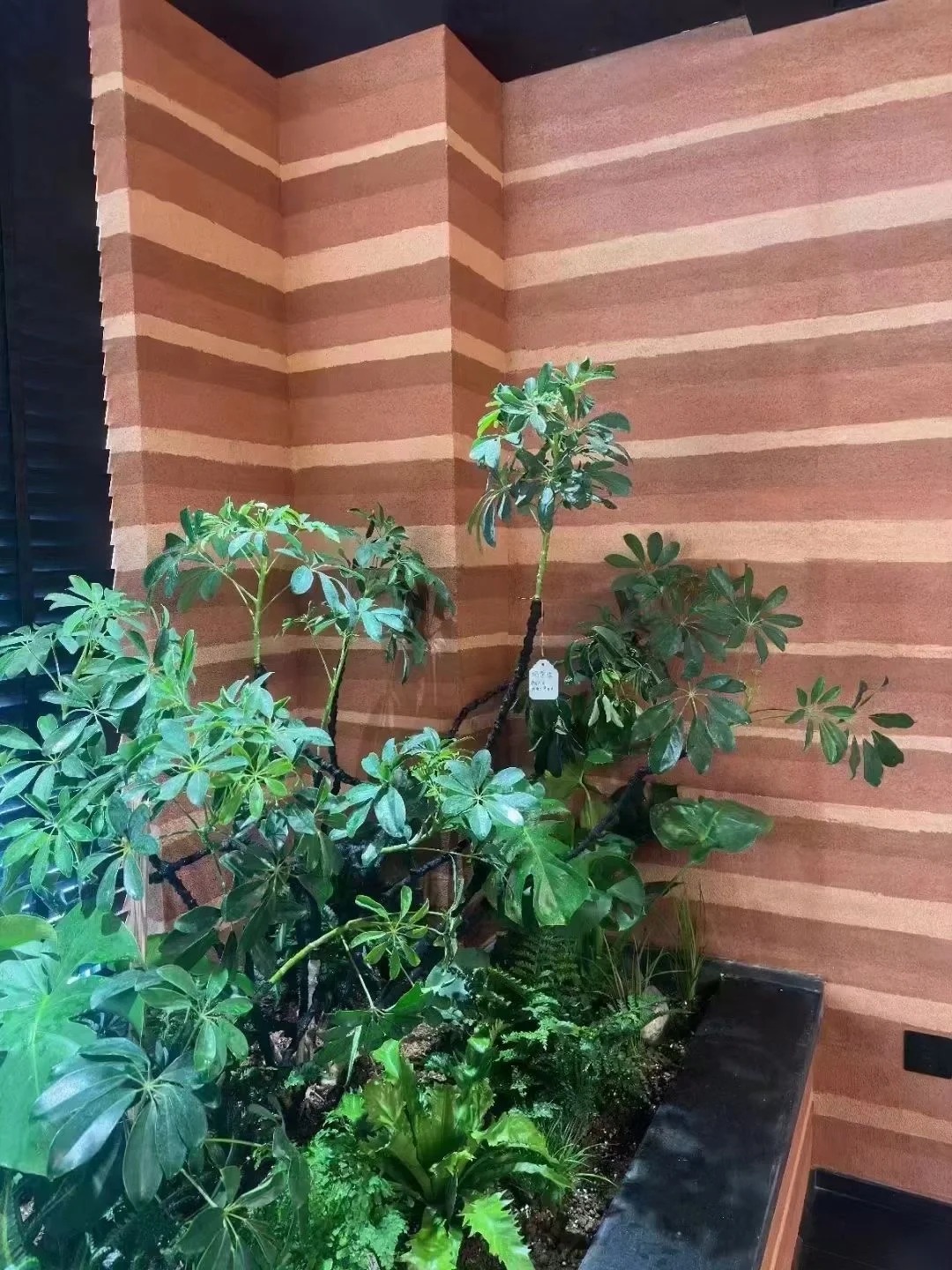 仿泥巴墙涂料定制施工买的放心现货销售