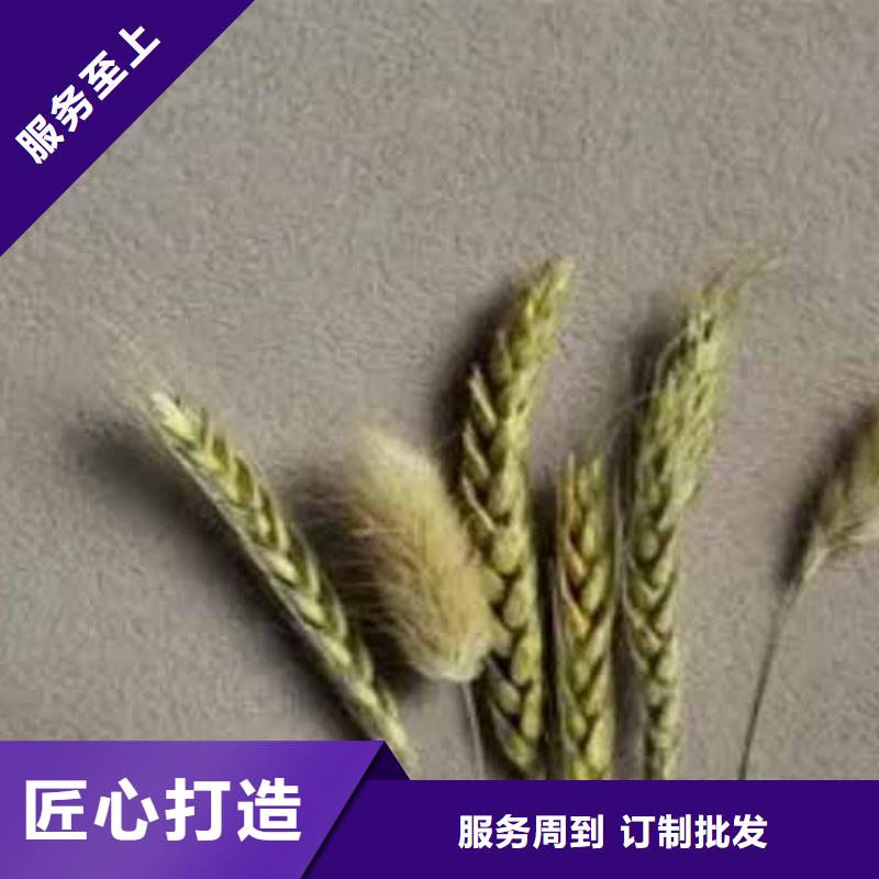 雅晶石【生态稻草漆】质量上乘支持拿样