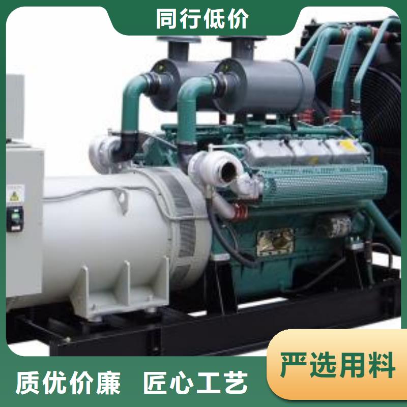 工程专用高压发电机可按需定制用心经营