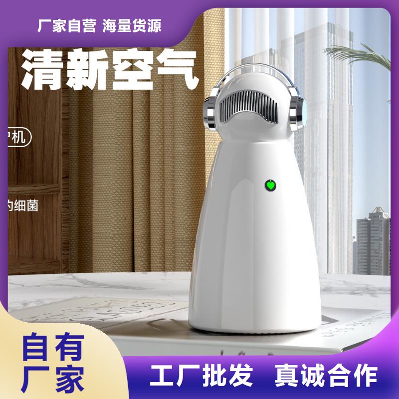 空气净化器销售车载空气净化器物流配货上门同城品牌