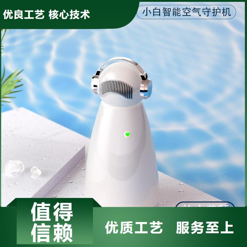 空气净化器小白空气守护机多年行业积累生产安装