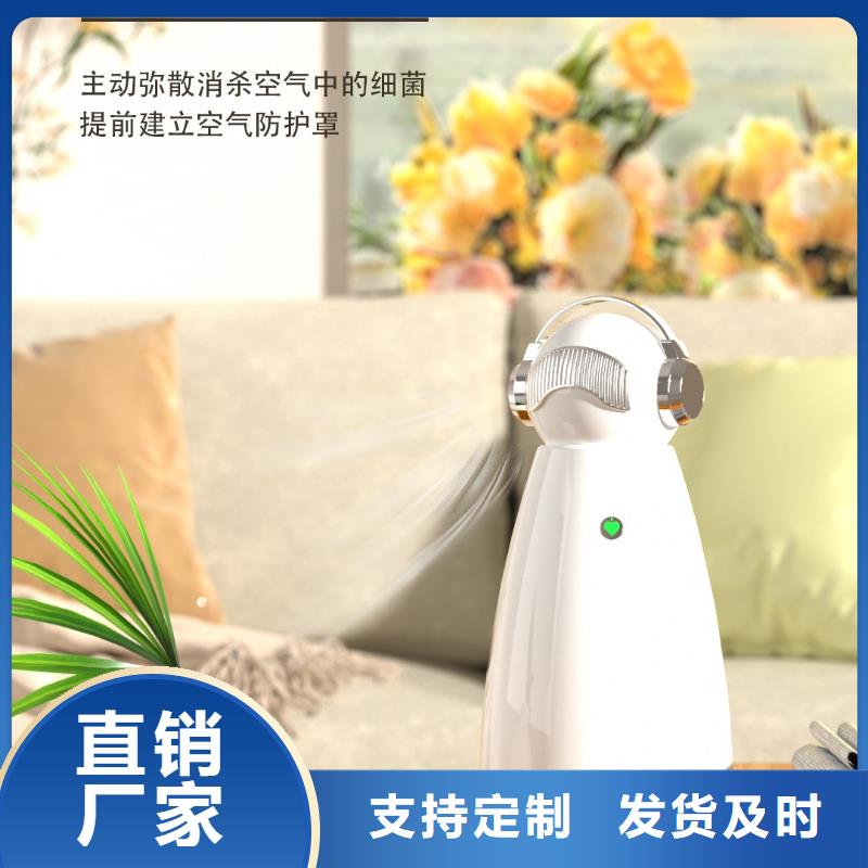 小白祛味王【空气消毒机】物流配货上门当地品牌