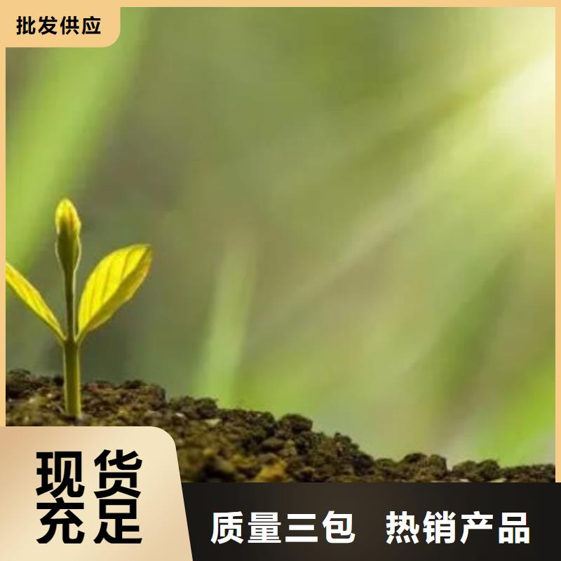 鸡粪,【干鸡粪批发】同行低价同城供应商