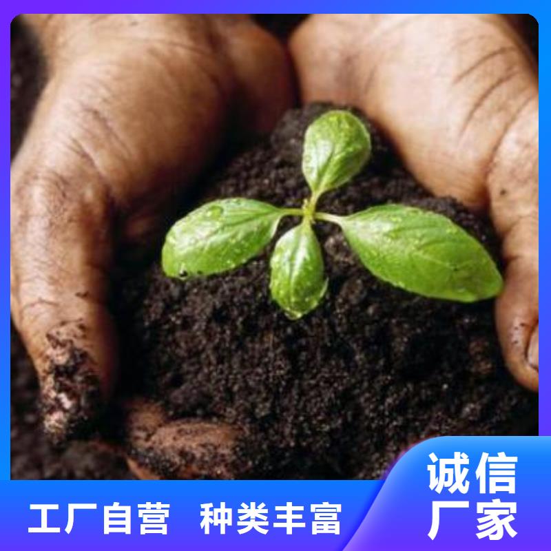 干鸡粪改良土壤大库存无缺货危机