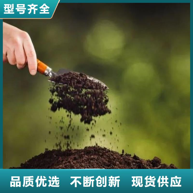 有机肥后劲足设备齐全支持定制