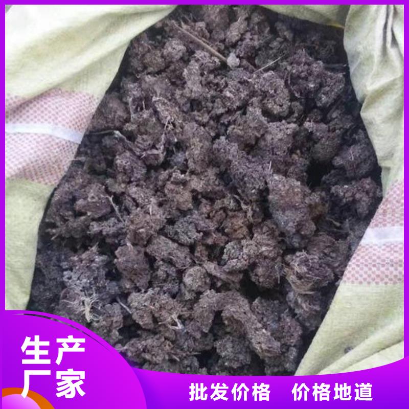 晒干鸡粪茄子产量实体诚信厂家