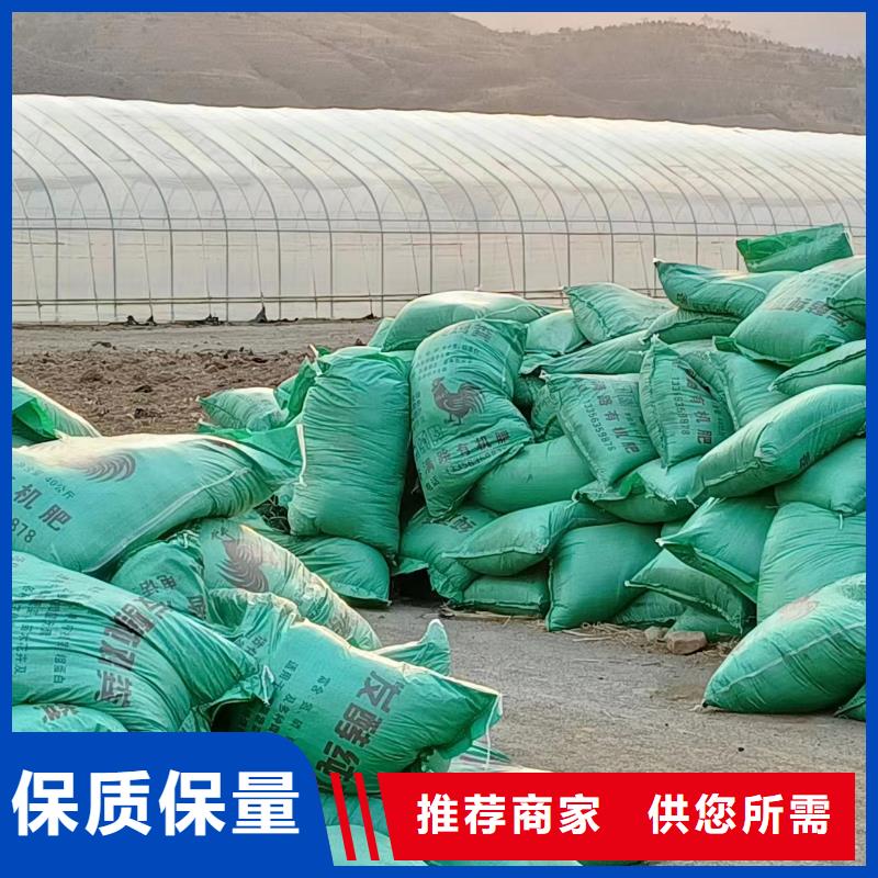 发酵鸡粪养分比例一手价格