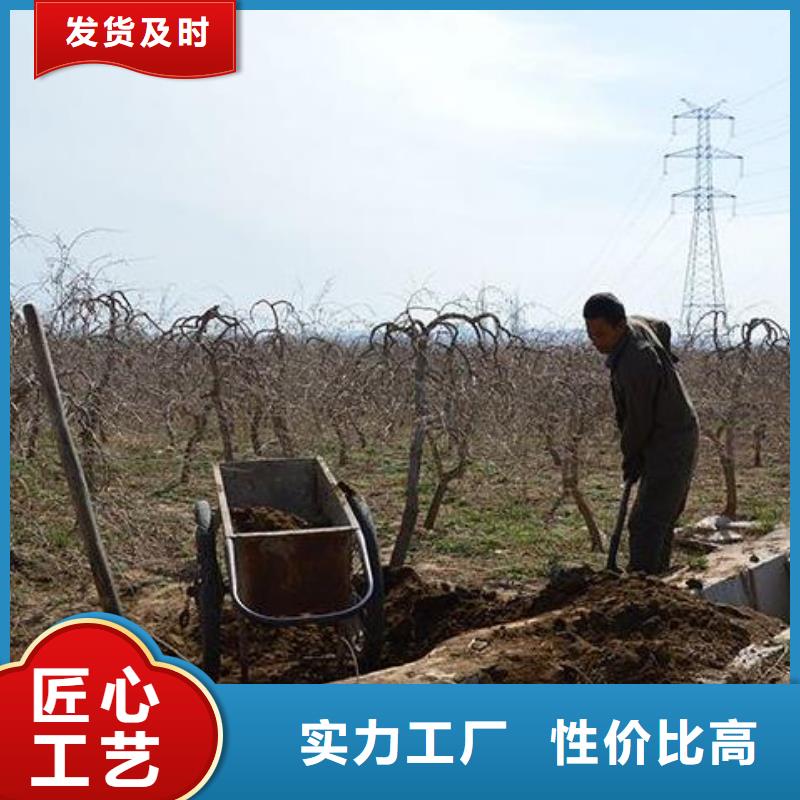 干鸡粪一吨多少方同城公司