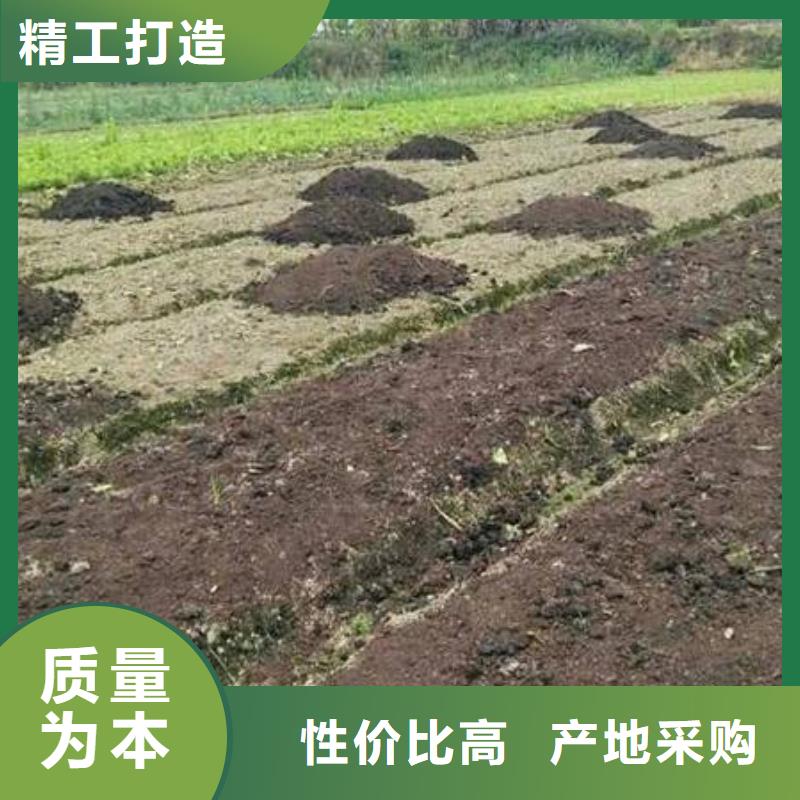 稻壳鸡粪质量不错品牌企业