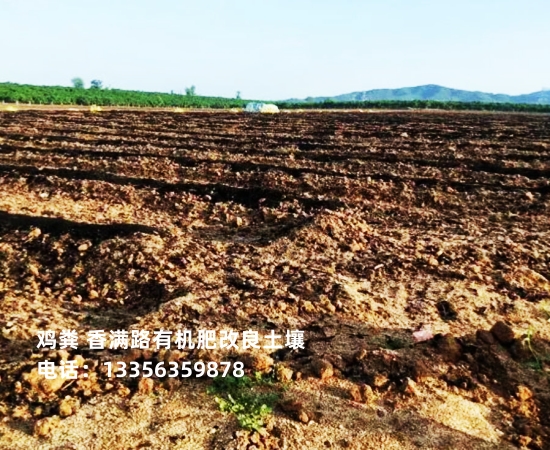 发酵鸡粪厂家发货