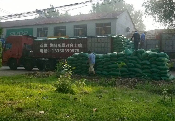 澄迈县干鸡粪块质量为先