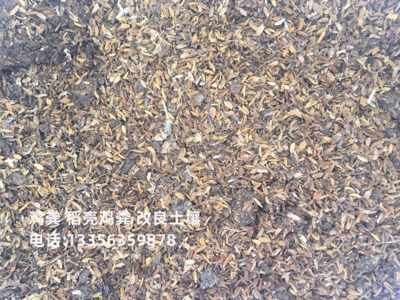 特别行政区干鸡粪块老百姓知道