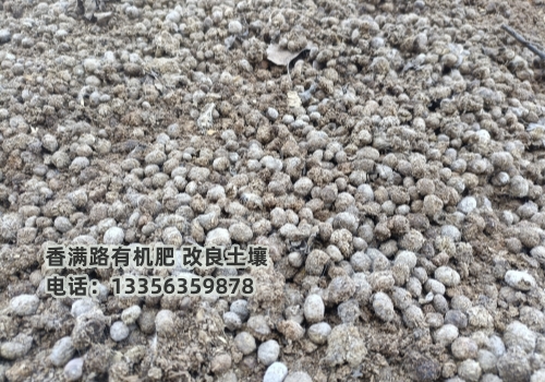 羊粪有机肥增加苹果收入