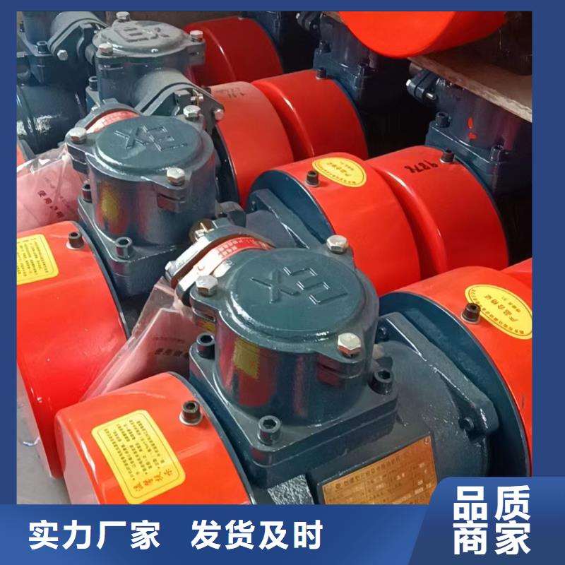 防爆振动电机【矿用振动筛】精心型号全价格低