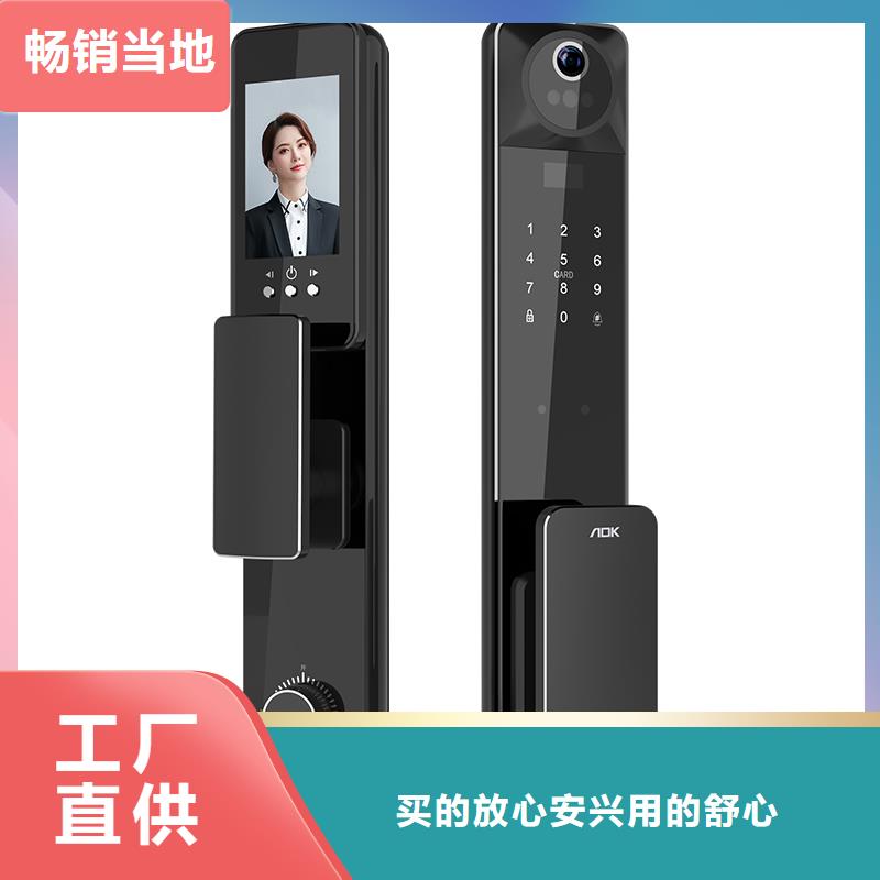 智能锁人脸识别智能锁厂家定制速度快工期短为品质而生产