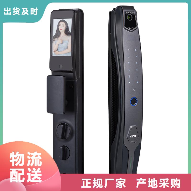 智能锁精工细作品质优良行业优选