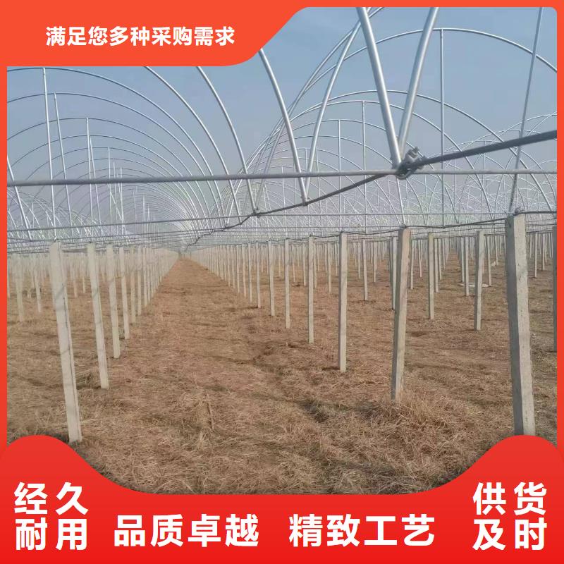 温室大棚_连栋温室选择我们没错支持批发零售