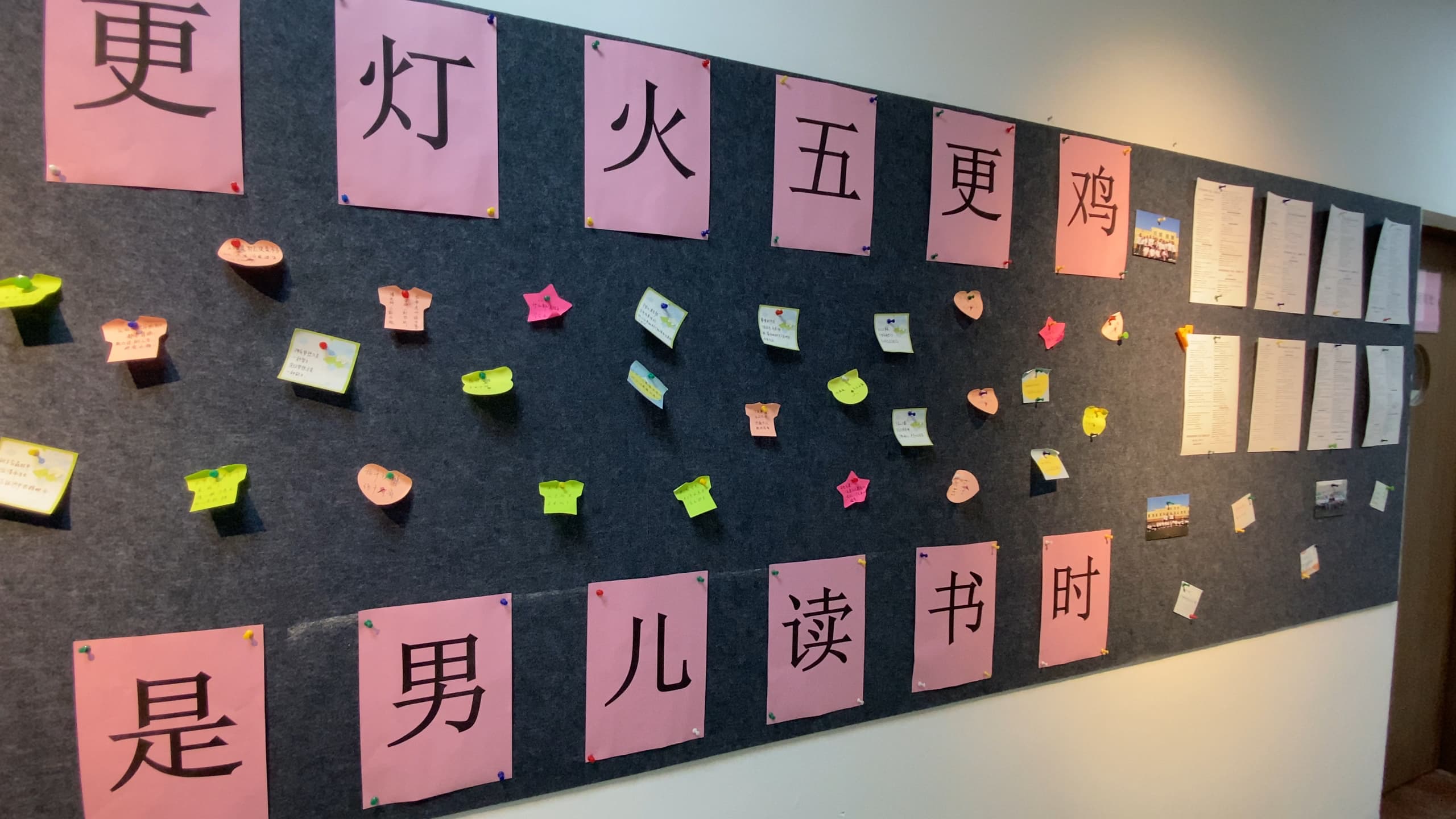 艺考文化课【高考】免费试学