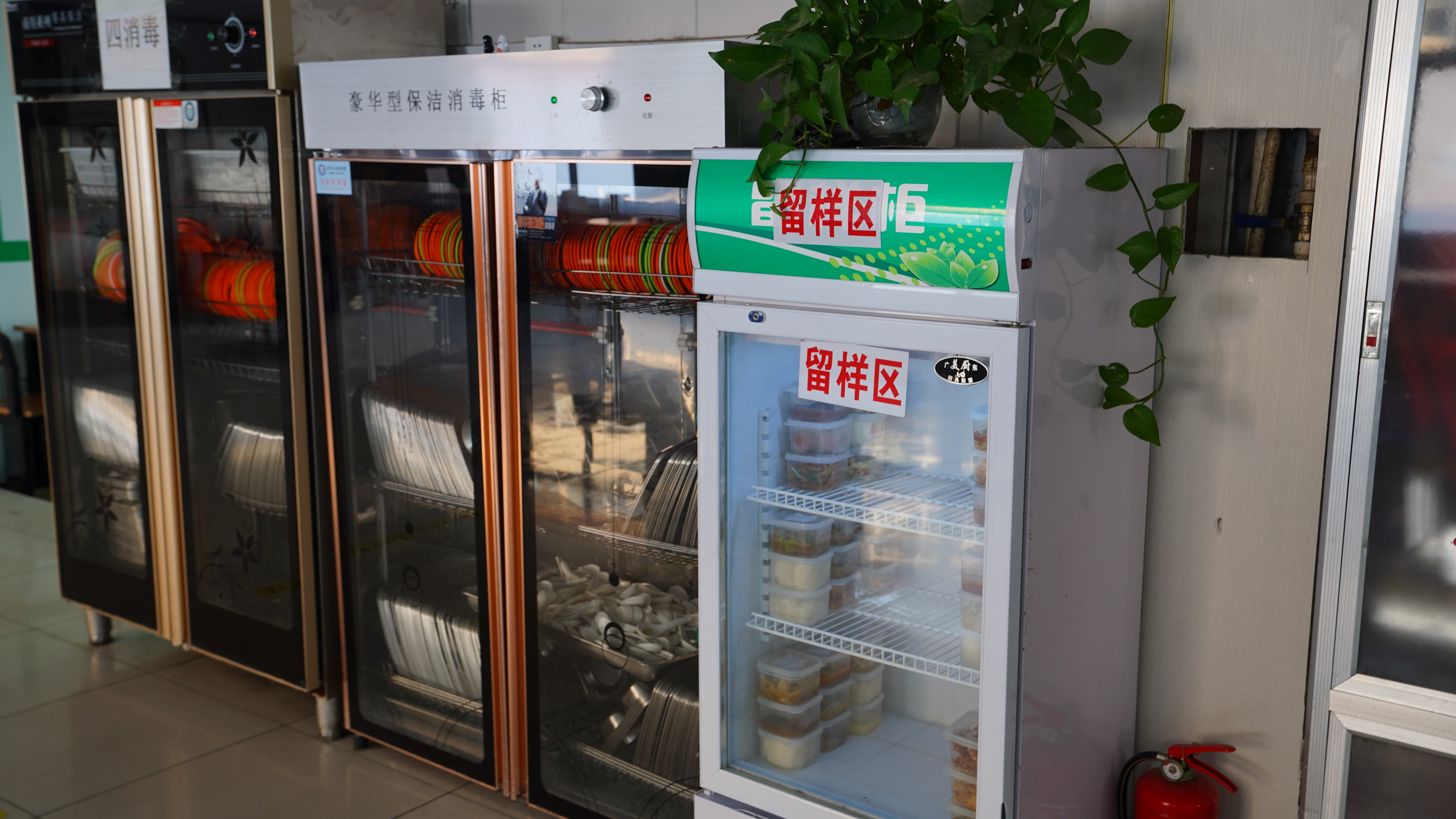 艺考文化课高中数学补习就业不担心